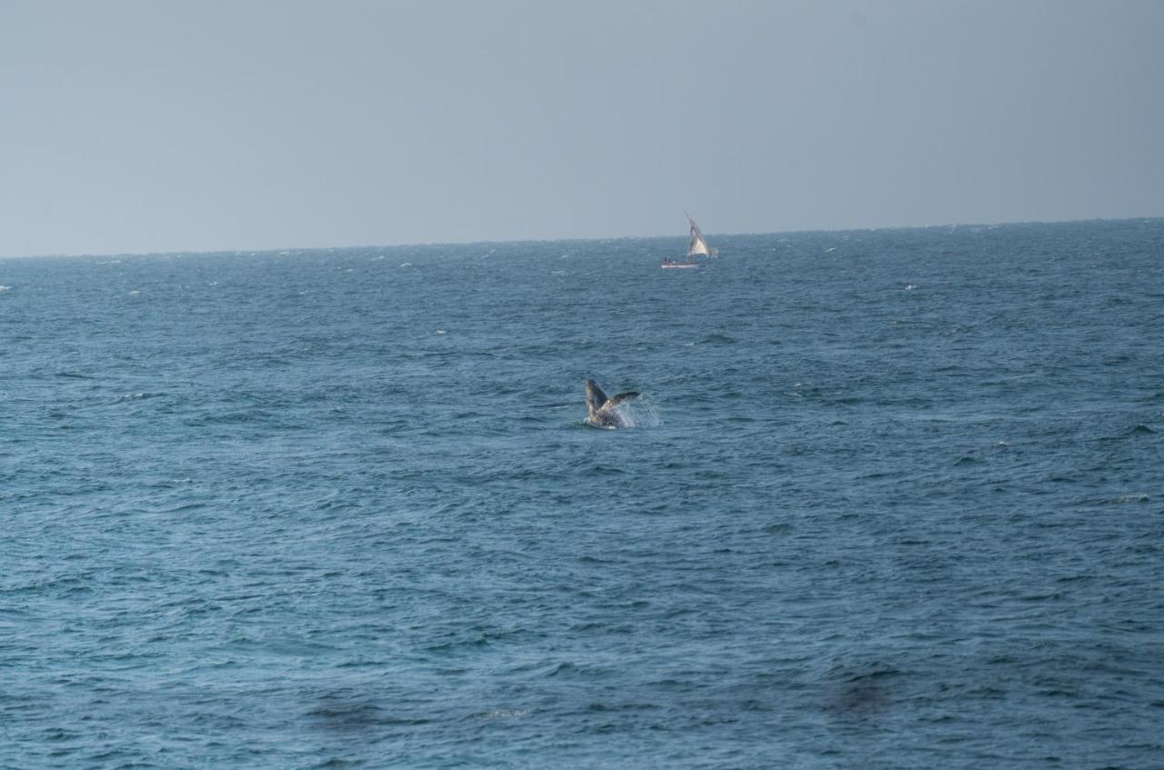 Los Corales Mancora Luaran gambar
